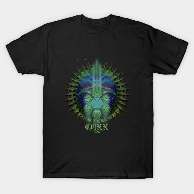 RELAX. SMOKE. GREEN. CDXX=420 T-Shirt by imagexcel